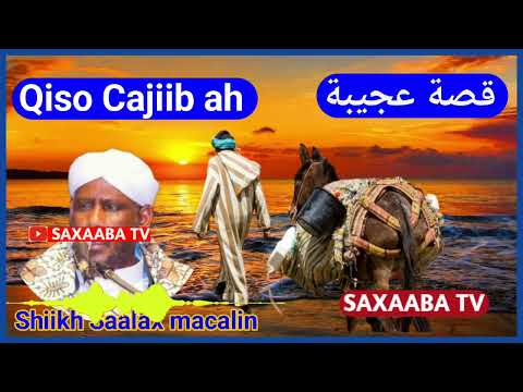 Qiso Cajiib                                          {Shiikh Saalax macalin cabdulahi }