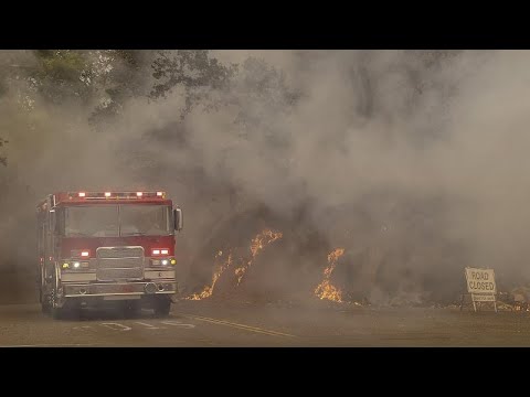 Video: Il Museo Della Pepita D'oro Della California è Stato Distrutto Da Incendi