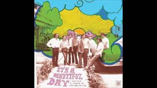 Various – It's A Beautiful Day (Soft Rock & Sunshine Pop From Peru 1971-1976) Music Album Collection screenshot 5