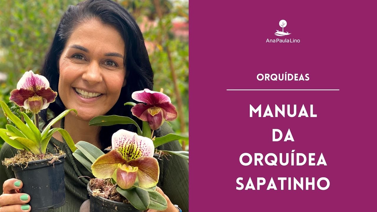 ORQUÍDEAS: Como cuidar da Orquídea Sapatinho e o substrato ideal - thptnganamst.edu.vn