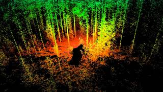 GNSS-free inertial lidar odometry demonstration in a forest
