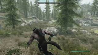 Skyrim Do wolves attack you in werewolf form