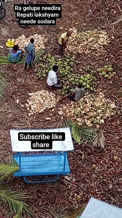 కొబ్బరికాయపై పొట్టు | coconut peeling manual #innovation #shorts #coconut #prashushorts #janavi