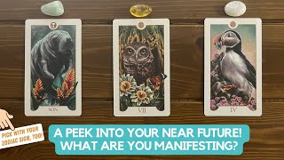 A Peek Into Your Near Future! What Are You Manifesting