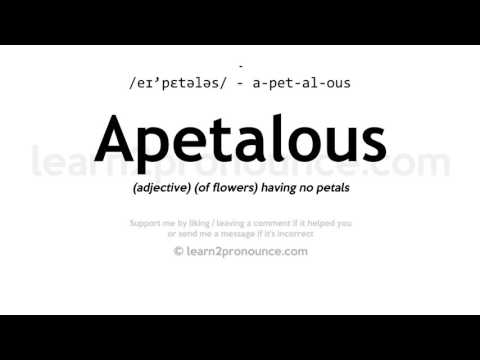 Video: Apa arti dari bunga apetalous?