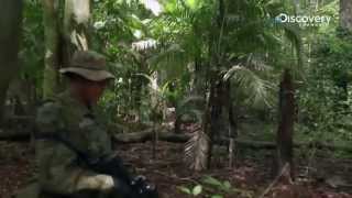 Ep01 Killer Bee Attacks Crew | Manhunt
