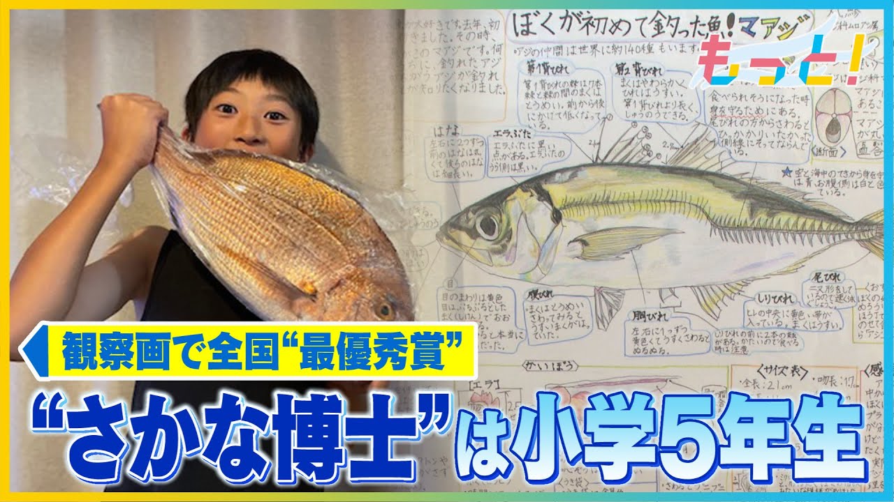 さかな YouTube