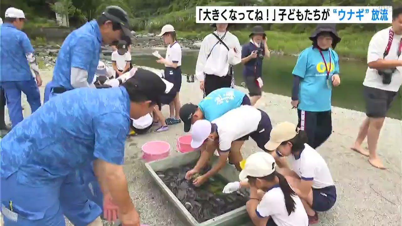 土居川 池川小学校うなぎ放流