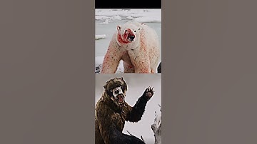Polar bear vs giant short face bear #edit