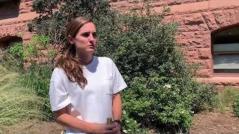 Field Techniques: Types of Sampling