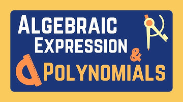 Algebraic Expressions | Polynomials | What is Difference Between Algebraic Expressions & Polynomials