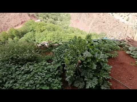 لبغاء اشوف لبلاد مرحبا دوار تسلي ايت مكون جمعة ايت مليل دمنات الزيلال