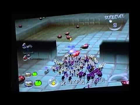 How many bulborbs are there?