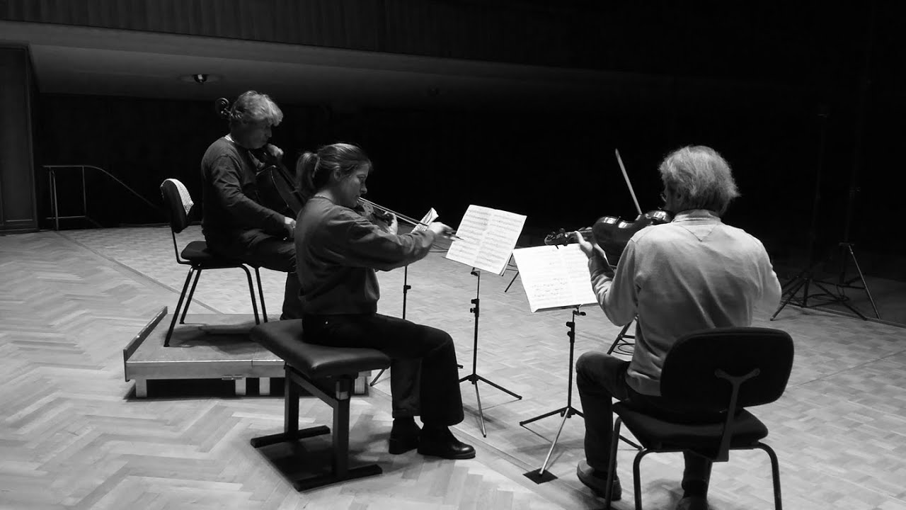 Dohnanyi Serenade Trio - Maxime Tholance, Marion Duchesne, Frédéric Lagarde
