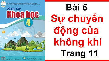 Vở Bài Tập Khoa Học Lớp 4 Sách Cánh Diều Bài 5 Sự Chuyển Động Của Không Khí Trang 11