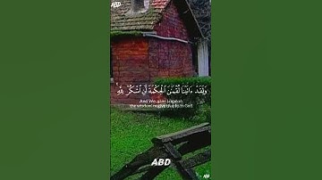 سورة لقمان القارئ#ياسر_الدوسري ‎@islam_sobhi@Sonic_islami#فلسطين#السعودية#المغرب#مصر#الجزائر#تونس