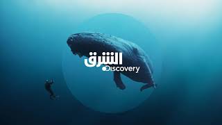 Warner Bros Discovery | Asharq Discovery Channel Identity