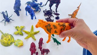 Washing Painted Animal Friends | Elephant, Starfish, Tiger | Learn Animal Names and Colors