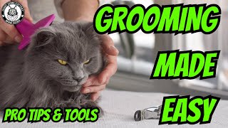 Cat Grooming Tips & Tricks: How to Keep Your Cat Clean Healthy