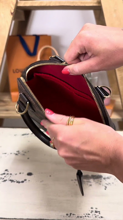 Neverfull GM Zip Top Organizer Review