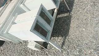 video 20260512 100446