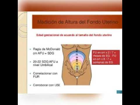 Medicion de altura del fondo uterino - YouTube