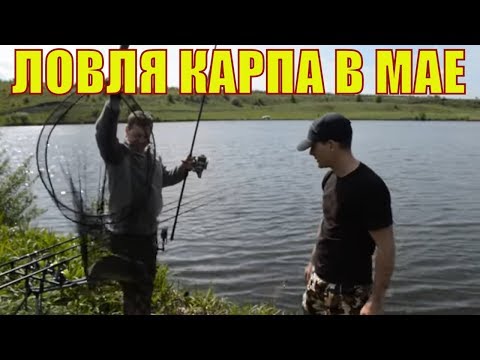 Video: Kako Kupiti štap Za Ribolov U 2017. Godini