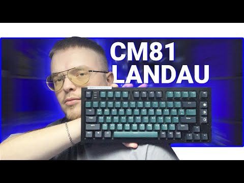 Видео: ⌨️ ОТЕЧЕСТВЕННЫЙ КАСТОМ | Дарк Проджект CM81 Landau кастомная механическая клавиатура