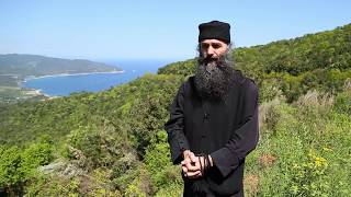 Comori din Sfantul Munte Athos
