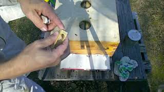 Spring  Inspection|Installing New Bees|New Week 1 #beekeeping101#honeybeest#honey#beehive#workerbee