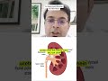 Is Surgery Always Needed for a Ureter Stone?