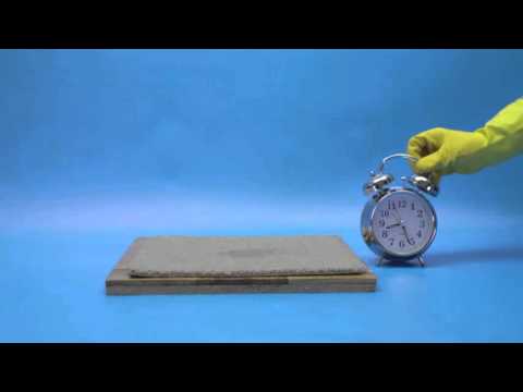 How to Remove Mould from Carpets
