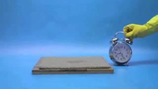 How to Remove Mould from Carpets