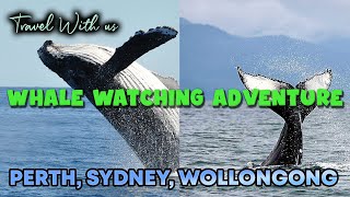 Whale Watching Showdown: Sydney vs Perth (07:19 Jump One) !