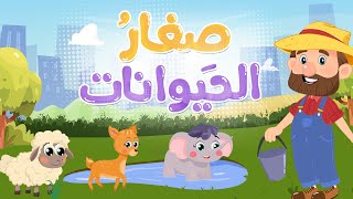 صغار الحيوانات | Luna TV قناة لونا