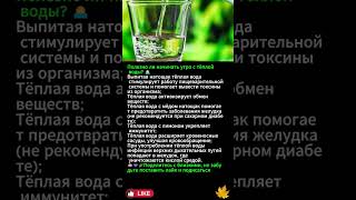 Полезно ли начинать утро с тёплой воды 🌅