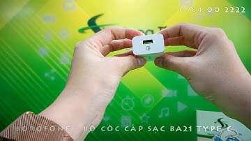 BOROFONE - Bộ Cóc Cáp Sạc Nhanh BA21 - Cổng Type C (US)