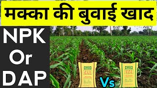 मक्का की बुबाई |NPK या DAP| Fertilizer | Corn