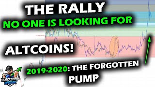 IT'S TOTALLY NORMAL for the Altcoin Market, A Rip Rally No One is Looking For