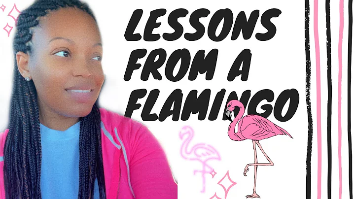 Aprenda com os Flamingos: Lições da Natureza para o Crescimento Espiritual 🦩