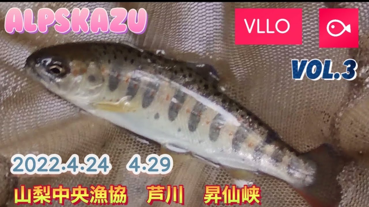 山梨中央漁協　芦川　昇仙峡