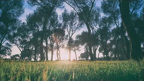 تلاوة هادئة وعذبة بقمة الجمال بصوت بشير عبدالله