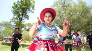 Delfines Del Amor   Vamos Todos A Bailar