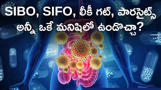 Sibo Sifo లక గట పరసటస అనన ఒక మనషల? Sibo Sifo Leaky Gut Parasites All In One Person?