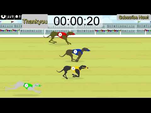 Greyhound Race! nice time countdown timer
