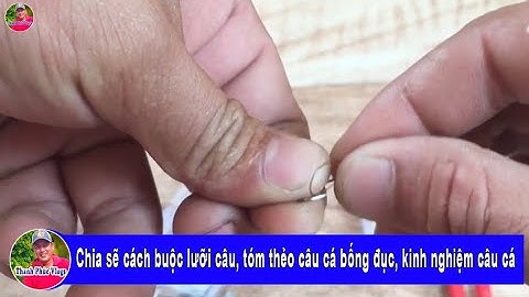 Chia sẽ cách buộc lưỡi câu, tóm thẻo câu cá bống đục, kinh nghiệm câu cá | Thanh Phúc Vlogs