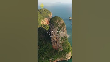 إِنَّمَا يُرِيدُ الشَّيْطَانُ أَن يُوقِعَ …. (91)  سورة المائدة الآية 91 #سعد_الغامدي