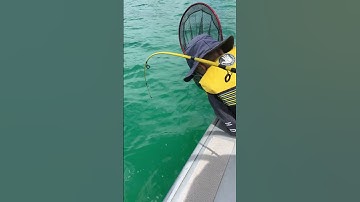 Kids (Girls & Boys) Catching Their First Fish | Kids Fishing Video | Educational Video for Kids
