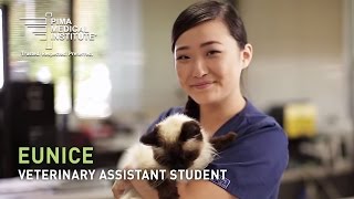 Hands-On Learning as a Veterinary Assistant | Eunice Yang's Experience