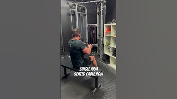 Single Arm Seated Cable Row with rotation